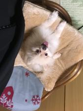 りょう