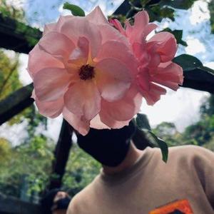 勝又 翔也
