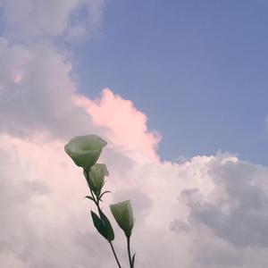 iii_lin