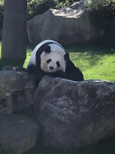 喜城