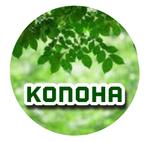 　konoha