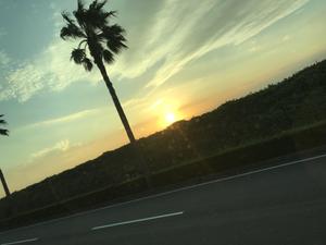 岸本大地