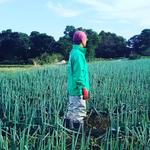 ffarm39