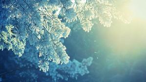 kaza-snow