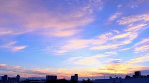 noboru_10