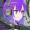 kgs_jf