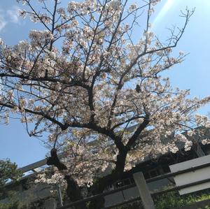 ツトム