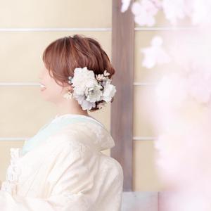 中山菜摘(なかやまなつみ)