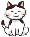 8にゃん