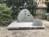 tomsan0301
