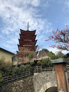 山中　真