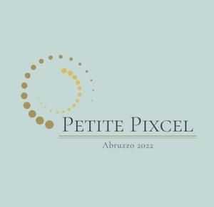 PetitePixcel Design