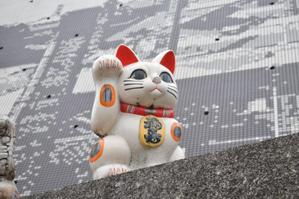ゆってぃー