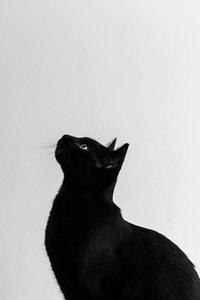 ELIEKOKO