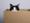 ronron_051