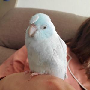ゆっこ