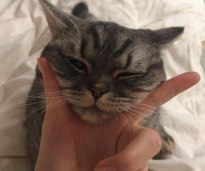 さき