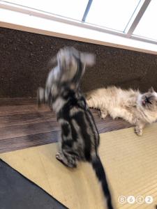りーな