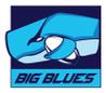 一般社団法人BIGBLUES