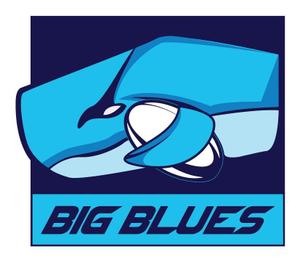 一般社団法人BIGBLUES