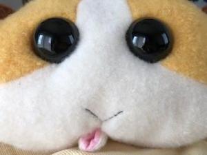 ひでき五号