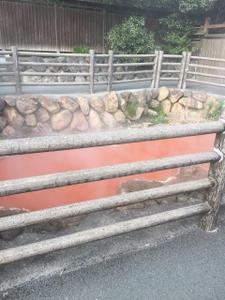 赤城