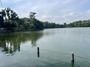 tanipon