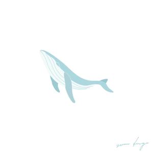 zono design