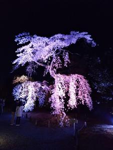 田中