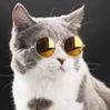 Senior_Dev