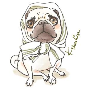 Kyosshiii(きょっしぃ)