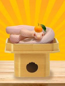しき