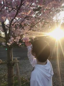 あすも