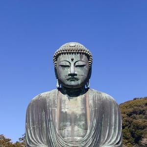 トリシカモモタ