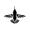colibrin