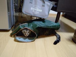 幕田