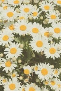 yukri.m