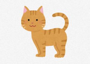 ホリ