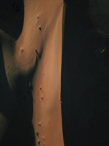 宗田