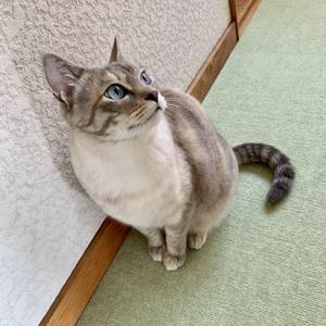 nishiyama_79