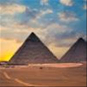 CPT_MSNA