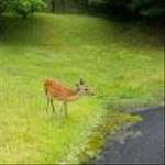 若木　健登