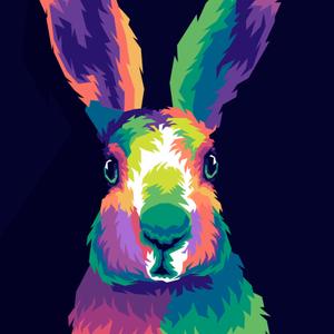 Popo-Design