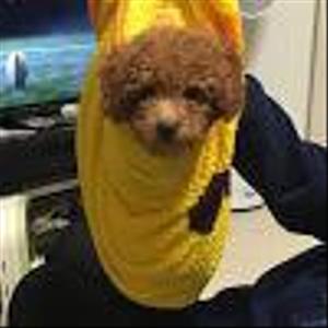 ばろん