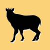Serow Movie create
