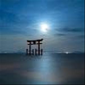 いぬかい
