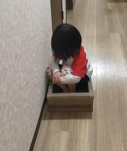 じゃむむ