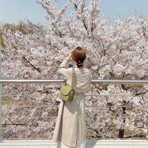 紫桜由惟