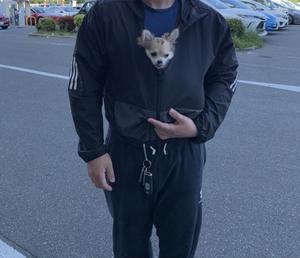 kyo