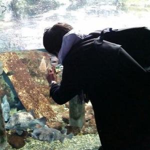 ふっか